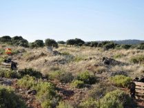 Campo de paintball en Ciudad Real